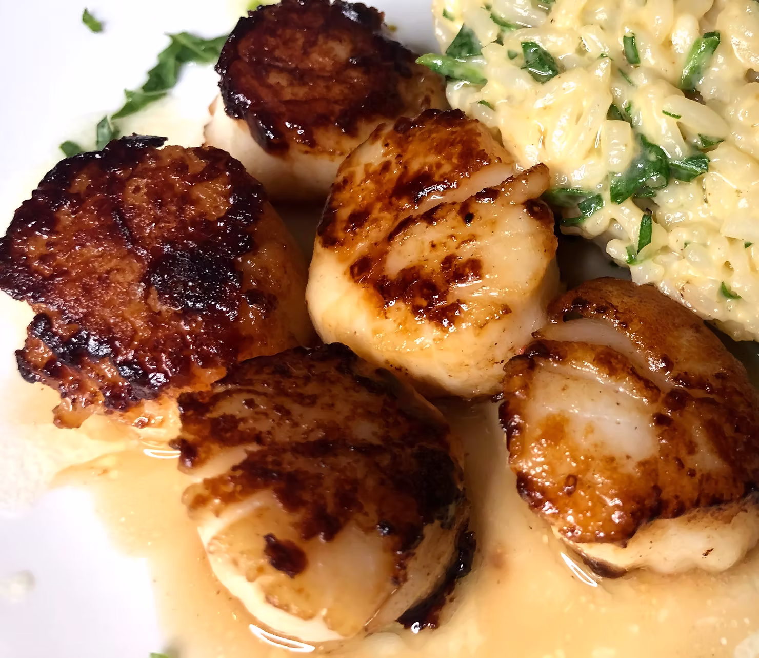 pan seared scallops recipe